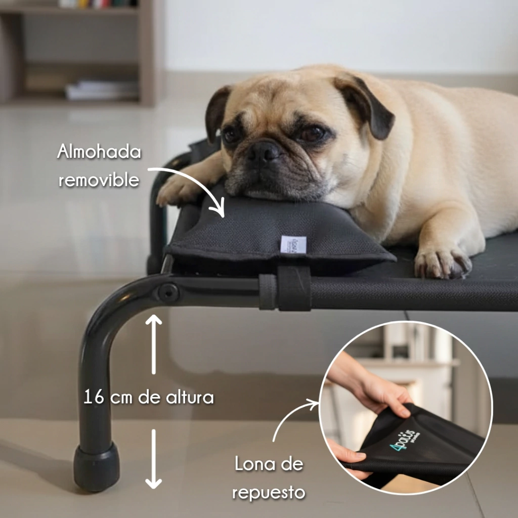 4paws - Cama Grande Elevada para Perro - Image 7
