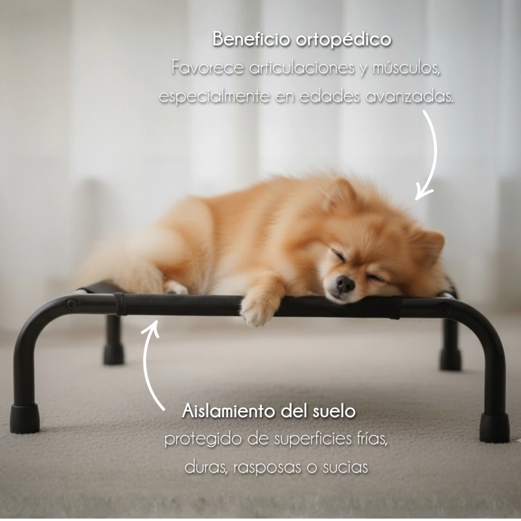 4paws - Cama Grande Elevada para Perro - Image 8