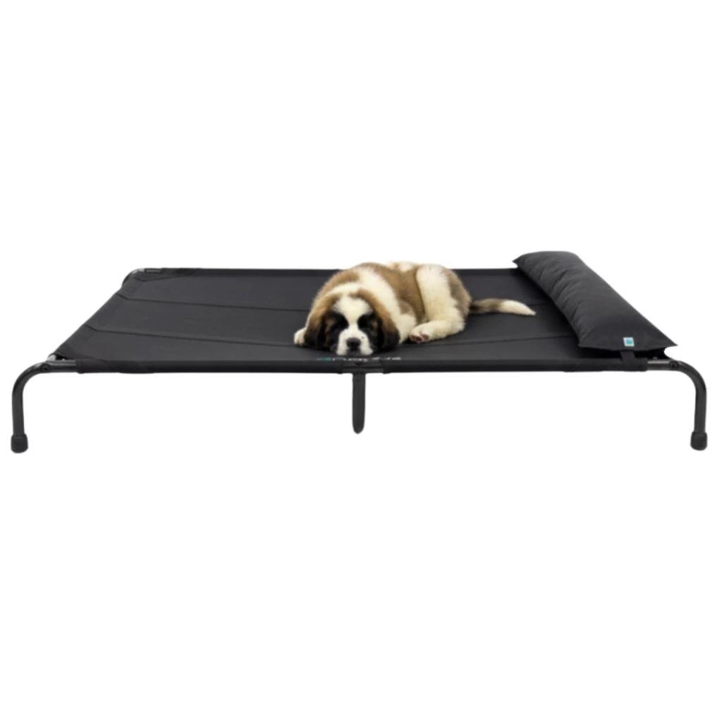 4paws - Cama XGrande Elevada para Perro - Imagen 10