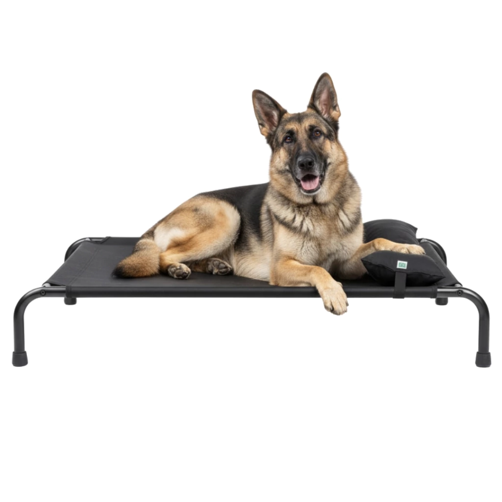 4paws - Cama Grande Elevada para Perro