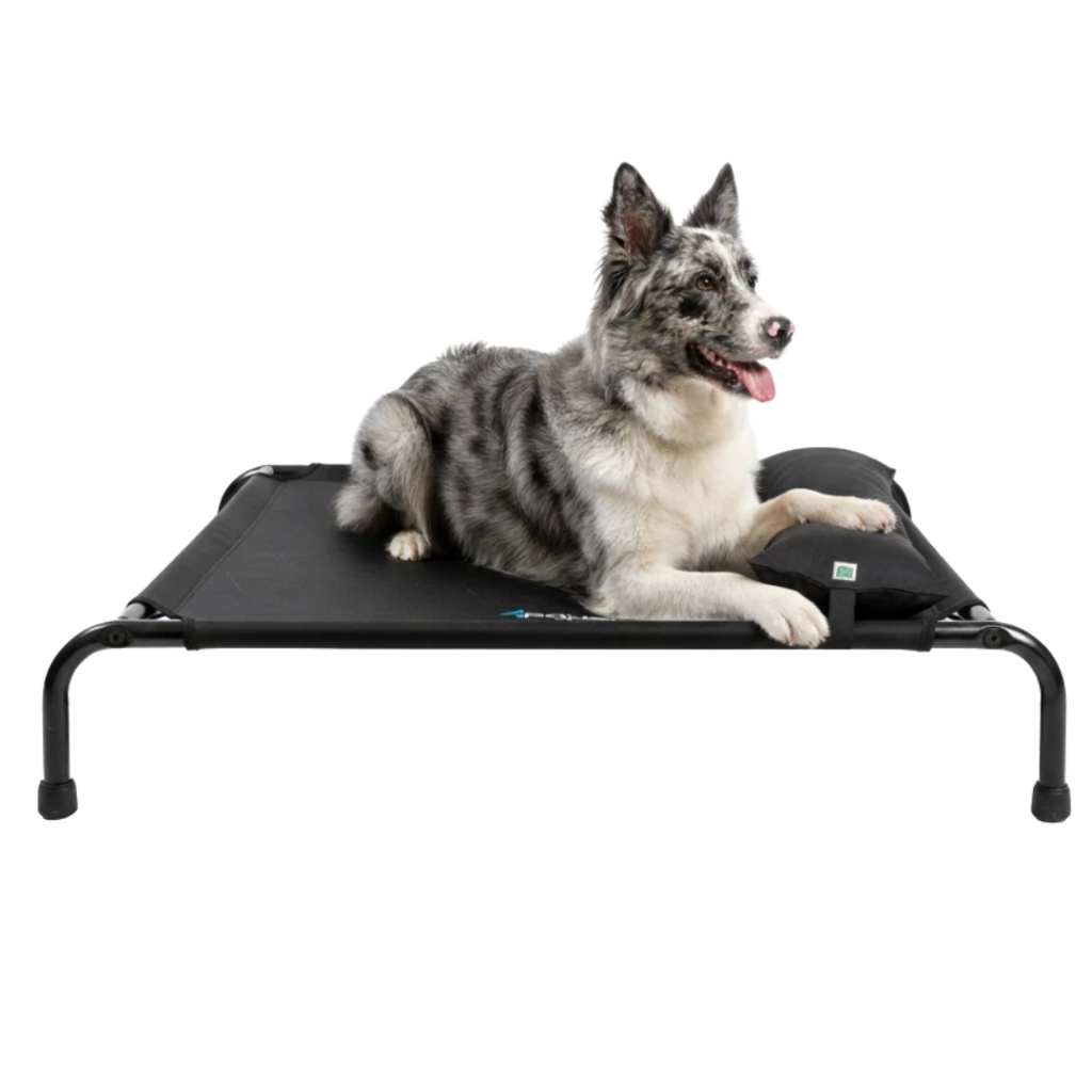 4paws - Cama Mediana Elevada para Perro