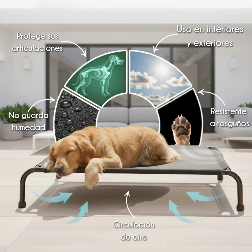 4paws - Cama Grande Elevada para Perro - Image 9