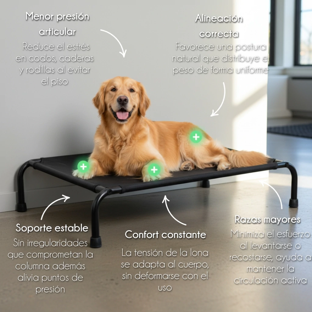 4paws - Cama Grande Elevada para Perro - Image 6