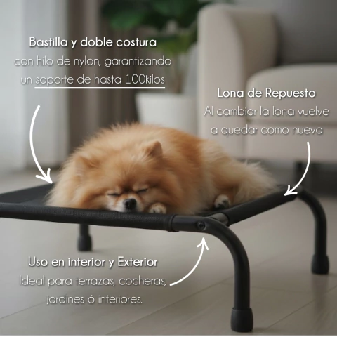 4paws - Cama Grande Elevada para Perro - Image 5